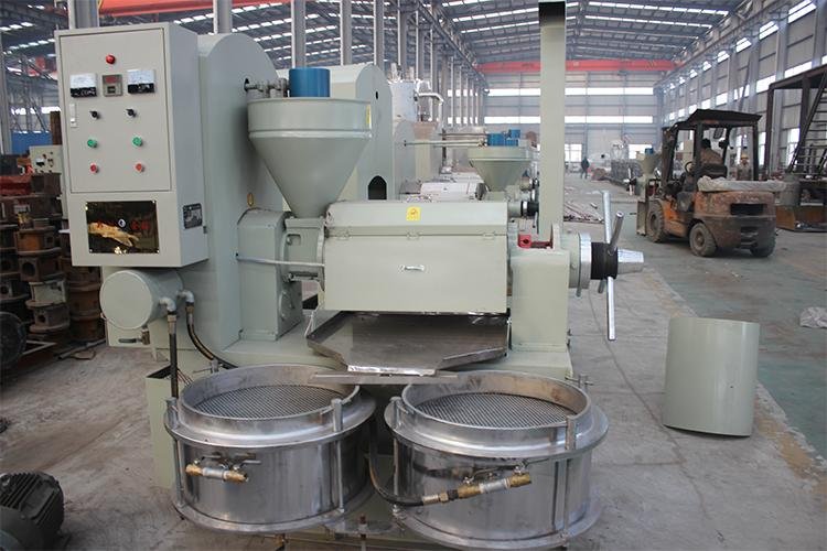 Oil Press Machine